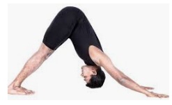 Identify the name of following Yogasana :