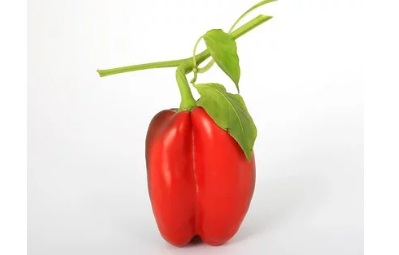 Identify the following vegetable :