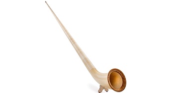 Identify this musical instrument :