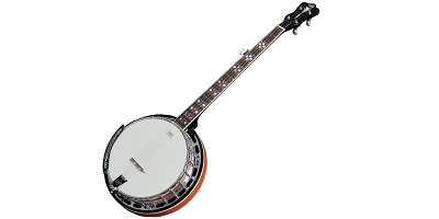Identify this musical instrument :