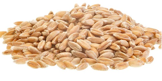 Identify the following food grains?