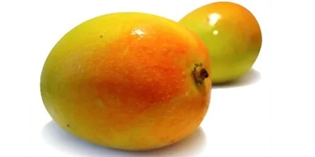 Identify this mango variety: